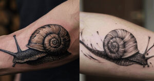 Snail tattoo tatwisdom best tattoo website