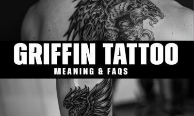 What is the symbolic meaning behind a griffin tattoo?