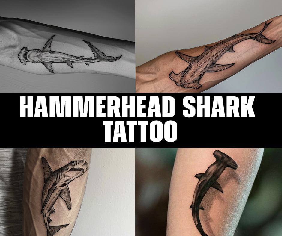 hammerhead shark tattoo