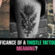 What is the significance of a thistle tattoo and its meaning?