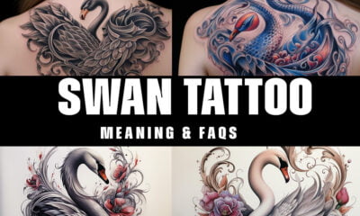 swan tattoo meanings & faqs 2024 tatoos meaning