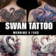 swan tattoo meanings & faqs 2024 tatoos meaning