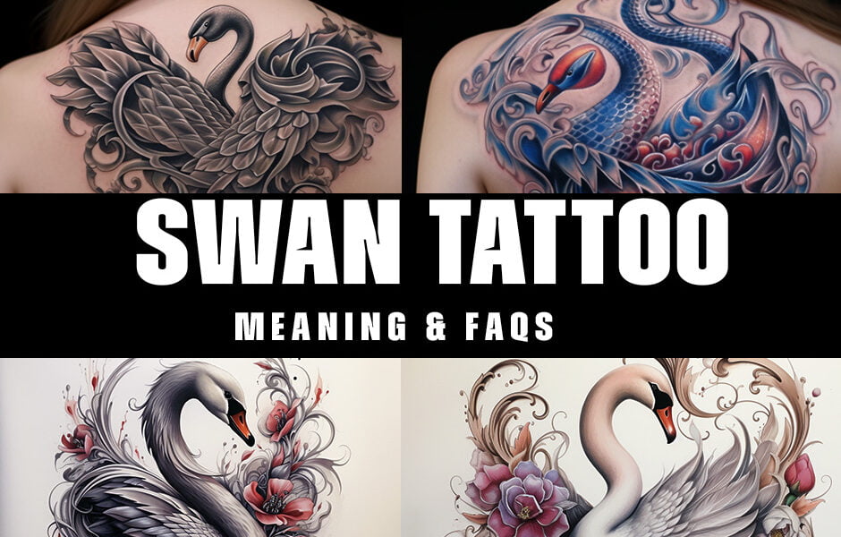 swan tattoo meanings & faqs 2024 tatoos meaning