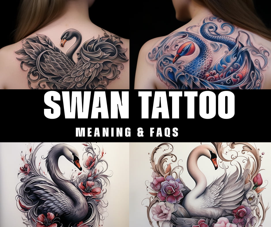 swan tattoo meanings & faqs 2024 tatoos meaning