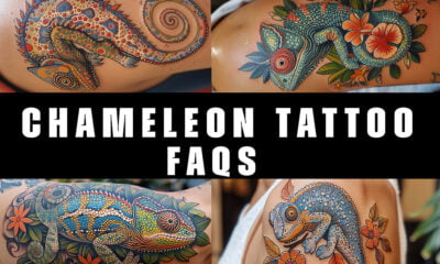 chameleon tattoo FAQS