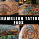 chameleon tattoo FAQS