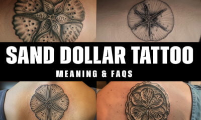 sand dollar tattoo