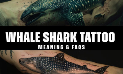 whale shark tattoo Meaning & Faqs