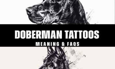 Doberman tattoos meaning & FAQS article