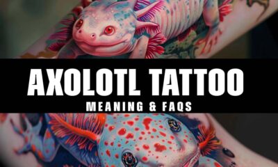 axolotl tattoo new meaning & FAQS