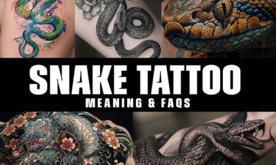 snake tattoo meaning and FAQS