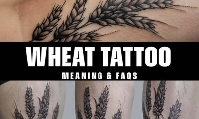 wheat tattoo meaning & FAQS