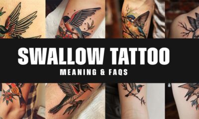 Swallow Tattoo meaning tatwisdom com