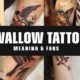 Swallow Tattoo meaning tatwisdom com