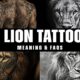 lion tattoo meaning and faqs www.Tatwisdom.com