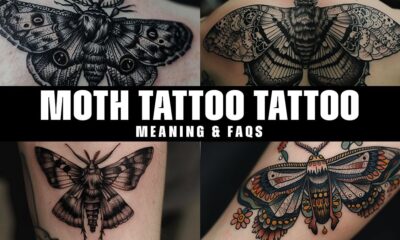 Moth Tattoo meaning and FAQS www.Tatwisdom.com